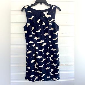 Loft Navy & White Bubble Dot Sleeveless Dress Size 4